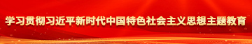 操各种女人的小逼综合网学习贯彻习近平新时代中国特色社会主义思想主题教育